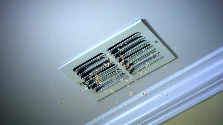 Best Ventilation Cleaning Services  in Point Clear, AL