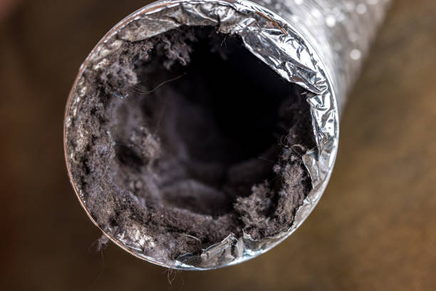 Best Local Air Duct Cleaning Services  in Point Clear, AL