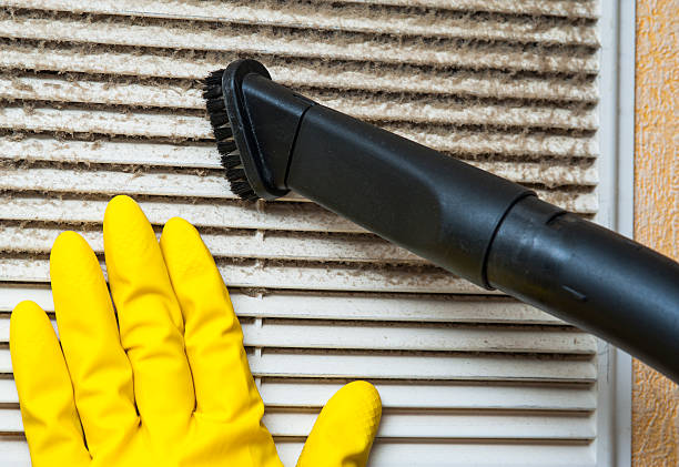Best Home Air Vent Cleaning  in Point Clear, AL